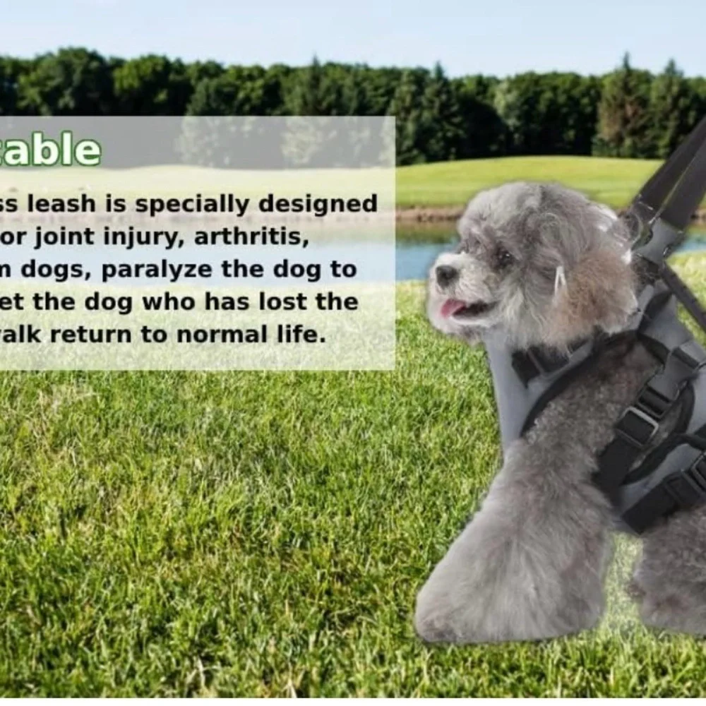 Dog Harness Harness Vest, Soft No Choke Escape Proof Harness and Leash Set S